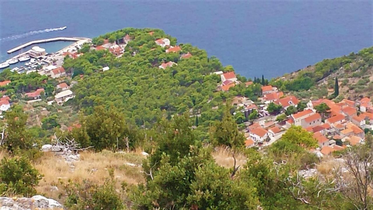 Apartament Jagoda *
