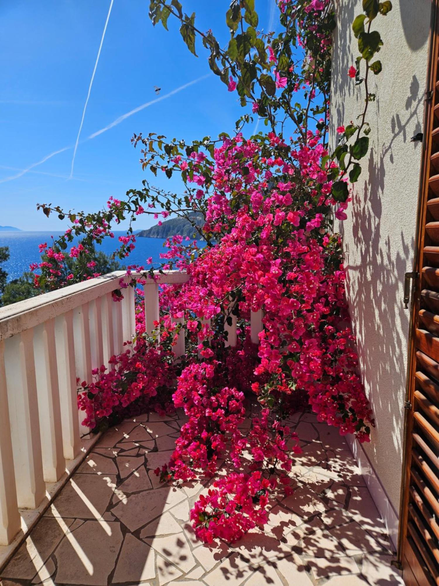 Apartament Jagoda *