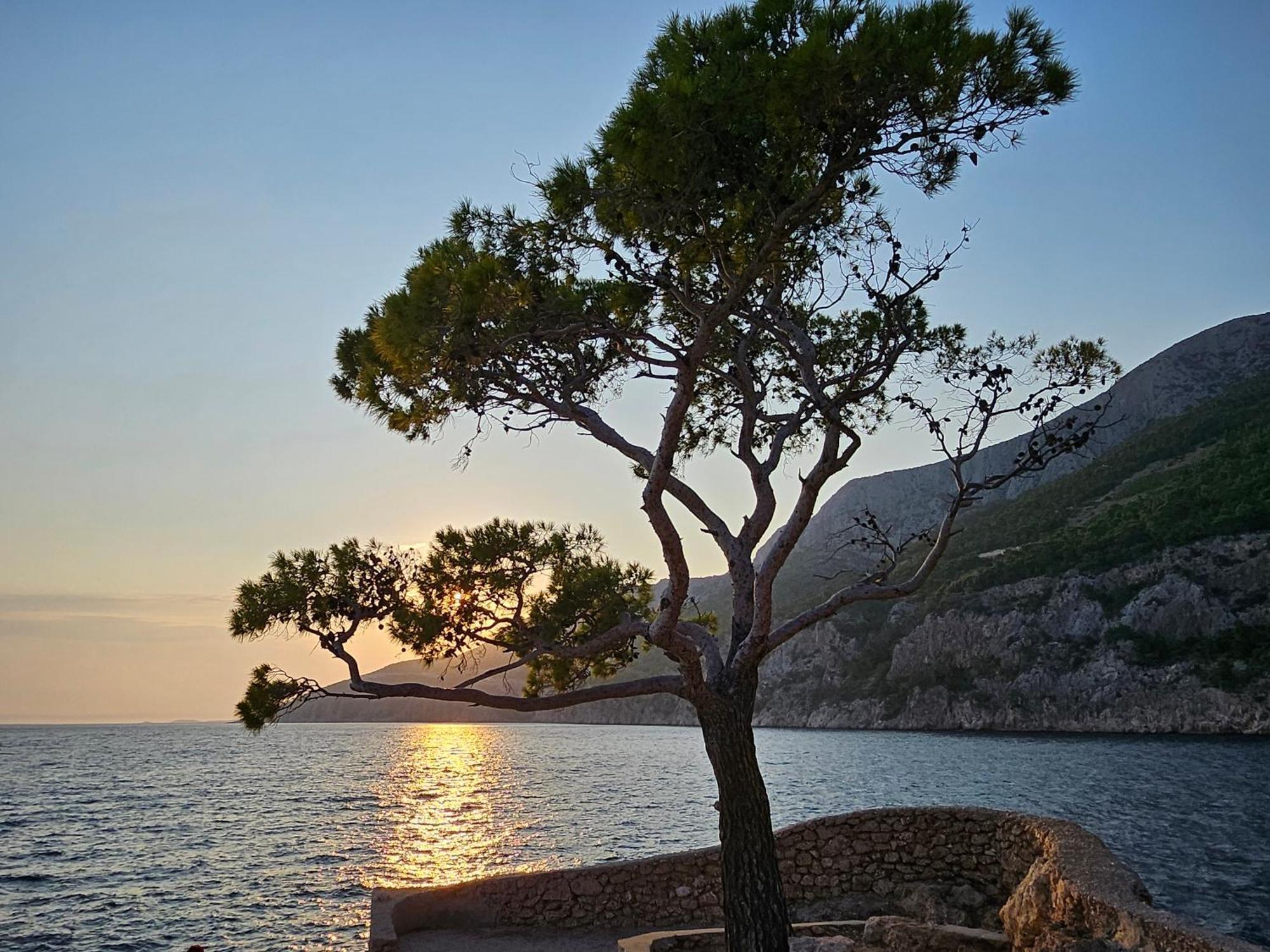 Jagoda Sveta Nedelja (Hvar)